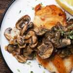 chicken & mushrooms