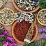 a group of bowls of herbs and flowers