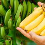 Banana tea for high blood pressure
