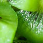 Close-up of fresh green kiwi slices showing juicy flesh and black seeds, highlighting the fruit’s vibrant color and texture.