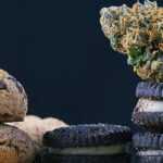 medical cannabis cookies