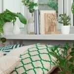 House plants for better sleep